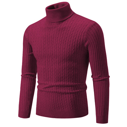 Anton - Trendiger Rollkragenpullover für Herren
